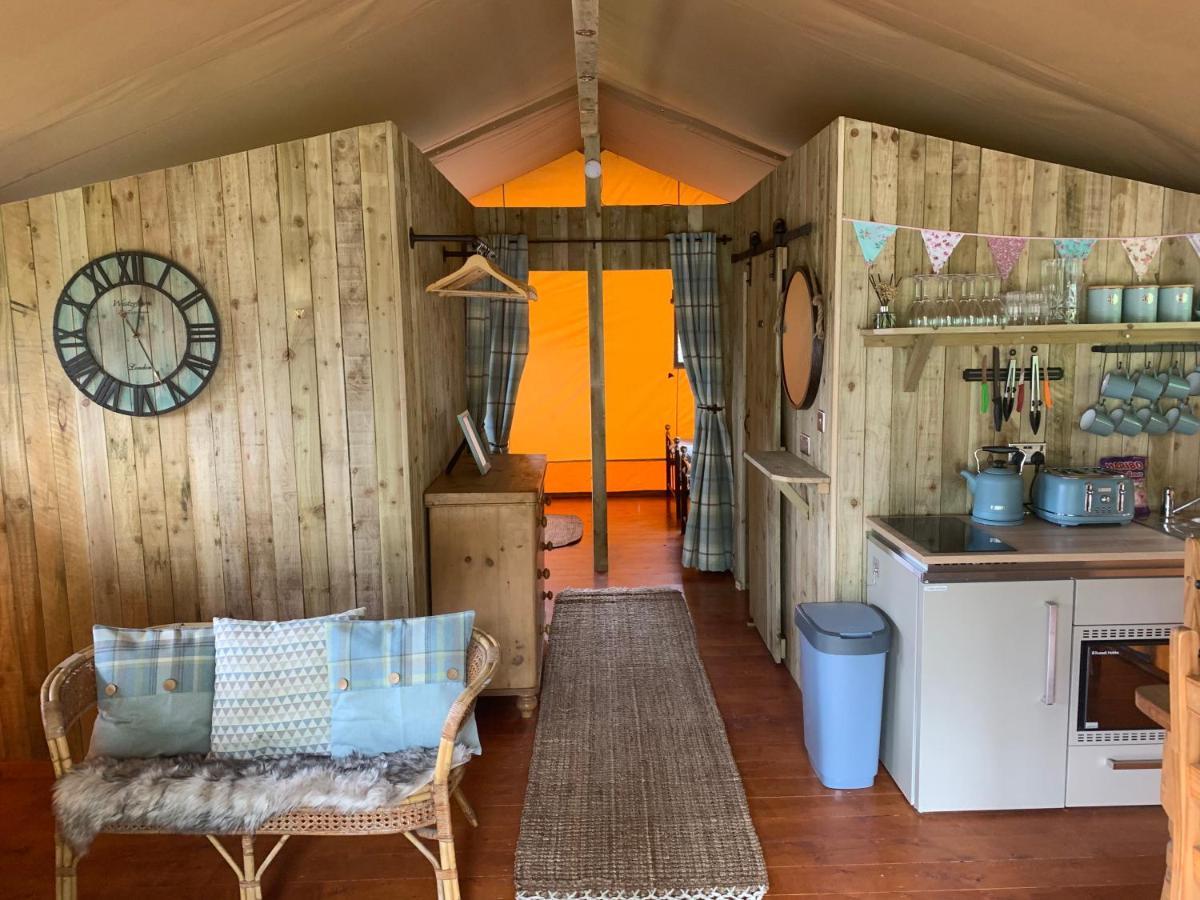 Mountain View Safari Tent With Hot Tub In The Heart Of Snowdonia Dolgellau Bagian luar foto