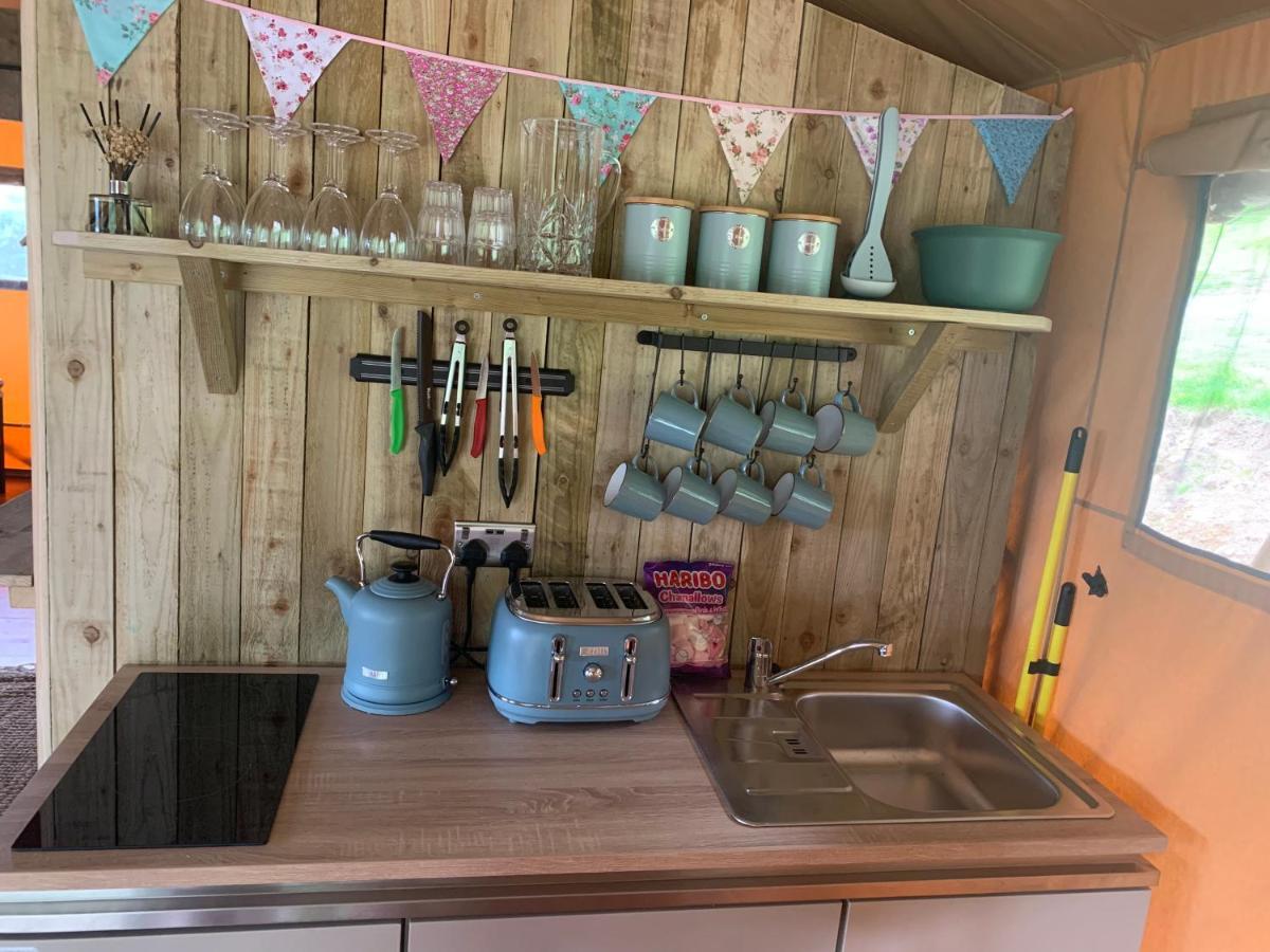 Mountain View Safari Tent With Hot Tub In The Heart Of Snowdonia Dolgellau Bagian luar foto