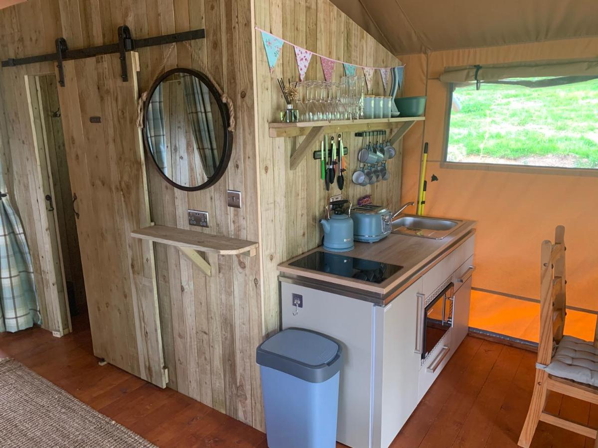 Mountain View Safari Tent With Hot Tub In The Heart Of Snowdonia Dolgellau Bagian luar foto