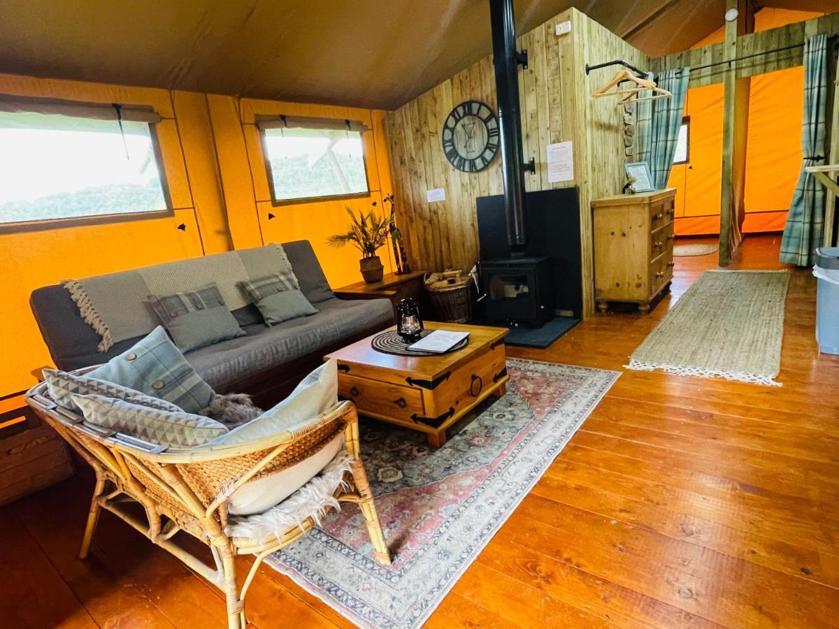 Mountain View Safari Tent With Hot Tub In The Heart Of Snowdonia Dolgellau Bagian luar foto